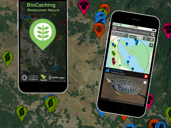 BioCaching